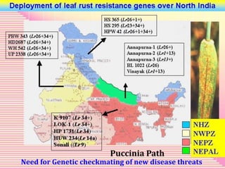 Over 60 years of Adventure in Agricultural Research & Development (© MSSRF)