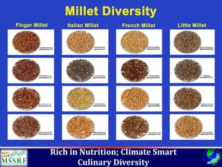 Over 60 years of Adventure in Agricultural Research & Development (© MSSRF)