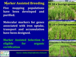 Over 60 years of Adventure in Agricultural Research & Development (© MSSRF)