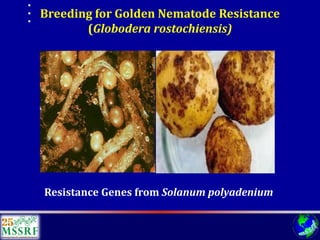 Over 60 years of Adventure in Agricultural Research & Development (© MSSRF)