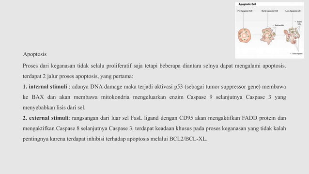 genetika molekuler pada neoplasma, genop DNA | PPTX