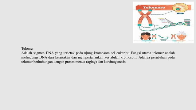 genetika molekuler pada neoplasma, genop DNA | PPT