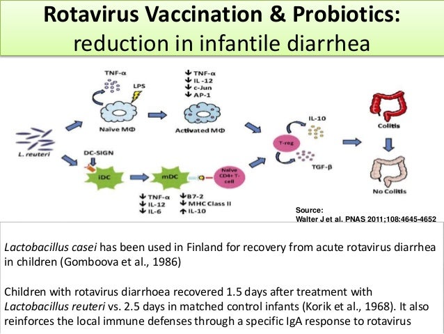 Prof nkg probiotics & vaccines yakult symposium 2015(ssg)
