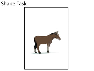 Shape Task
 