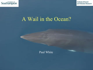 A Wail in the Ocean?
Paul White
 