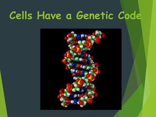 Cells Have a Genetic Code
13
 
