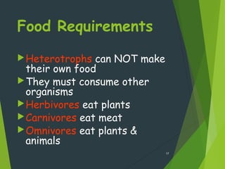 Food Requirements
Heterotrophs can NOT make
their own food
They must consume other
organisms
Herbivores eat plants
Carnivores eat meat
Omnivores eat plants &
animals
17
 