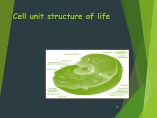 Cell unit structure of life
2
 