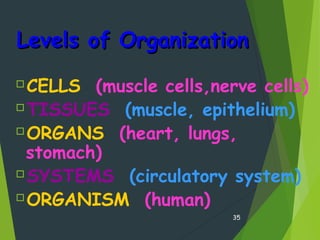 Levels of OrganizationLevels of Organization
CELLS (muscle cells,nerve cells)
TISSUES (muscle, epithelium)
ORGANS (heart, lungs,
stomach)
SYSTEMS (circulatory system)
ORGANISM (human)
35
 