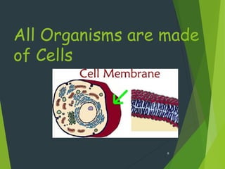 All Organisms are made
of Cells
6
 