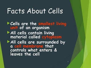 Facts About Cells
Cells are the smallest living
unit of an organism
All cells contain living
material called cytoplasm
All cells are surrounded by
a cell membrane that
controls what enters &
leaves the cell
7
 