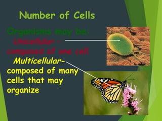 Number of Cells
9
Organisms may be:
• Unicellular –
composed of one cell
• Multicellular-
composed of many
cells that may
organize
 