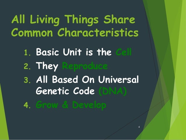 What are characteristics that all living things share?