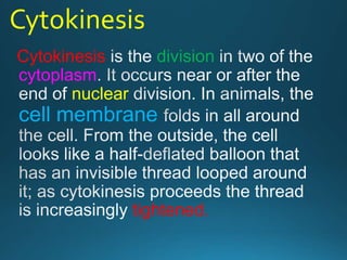 Cytokinesis
Cytokinesis division
cytoplasm
nuclear
cell membrane
tightened.
 
