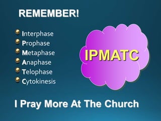 REMEMBER!
Interphase
Prophase
Metaphase
Anaphase
Telophase
Cytokinesis
IPMATC
 