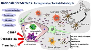 Rationale for Steroids - Pathogenesis of Bacterial Meningitis
Apoptosis
Necrosis
Senescence
Immune activation
Macrophages
Microglia
Astrocytes
Endothelium
Neurons
Neutrophils
BBBP
Thrombosis
Blood Flow
Bacterial products (PAMPs)
Cytokines
Chemokines
Reactive Oxygen Species
Ecosinoids
 