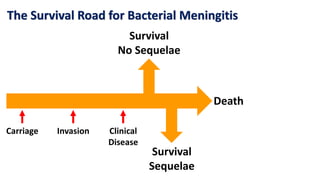 The Survival Road for Bacterial Meningitis
Carriage Invasion Clinical
Disease
Survival
No Sequelae
Survival
Sequelae
Death
 