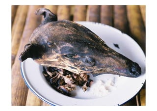 Mapping a full cycle of swidden cultivation in the mountains of Myanmar and Laos