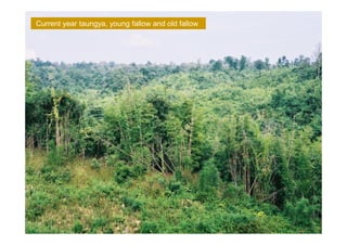 Mapping a full cycle of swidden cultivation in the mountains of Myanmar and Laos
