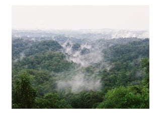Mapping a full cycle of swidden cultivation in the mountains of Myanmar and Laos