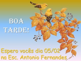 Educar para o mercado tem o mesmo valor de educar para a cidadania como propõe a LDB?