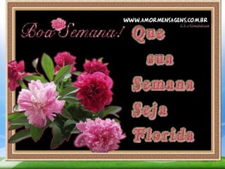 Profuncionario mod.10