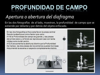 PROFUNDIDAD DE CAMPO
En las dos fotografías de al lado, muestran, la profundidad de campo que se
extiende por delante y por detrás del objeto enfocado.
Apertura o abertura del diafragma
 