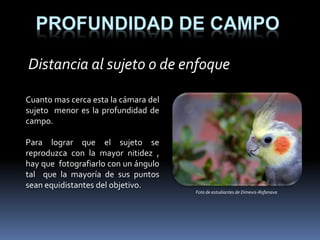 PROFUNDIDAD DE CAMPO
Distancia al sujeto o de enfoque
Cuanto mas cerca esta la cámara del
sujeto menor es la profundidad de
campo.
Para lograr que el sujeto se
reproduzca con la mayor nitidez ,
hay que fotografiarlo con un ángulo
tal que la mayoría de sus puntos
sean equidistantes del objetivo.
Foto de estudiantes de Dimevis-Rafanava
 