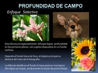 PROFUNDIDAD DE CAMPO
Enfoque Selectivo
Esta técnica es especialmente útil para lograr profundidad
en los primeros planos con sujetos dispuestos en un fondo
confuso.
Dejando el fondo fuera de foco, el objeto principal se
destaca del resto de la fotografía .
La falta de detalle en el fondo lo hace parecer mas lejano
del objeto principal , produciendo la ilusión de profundidad.
 