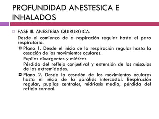 PROFUNDIDAD ANESTESICA E INHALADOS FASE III. ANESTESIA QUIRURGICA. Desde el comienzo de a respiración regular hasta el paro respiratorio. Plano 1. Desde el inicio de la respiración regular hasta la cesación de los movimientos oculares. Pupilas divergentes y mióticas. Pérdida del reflejo conjuntival y extensión de los músculos de las extremidades. Plano 2. Desde la cesación de los movimientos oculares hasta el inicio de la parálisis intercostal. Respiración regular, pupilas centrales, midriasis media, pérdida del reflejo corneal. 