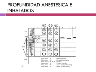 PROFUNDIDAD ANESTESICA E INHALADOS 