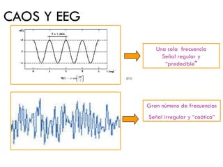 CAOS Y EEG Gran número de frecuencias Señal irregular y “caótica” Una sola  frecuencia Señal regular y “predecible ” 