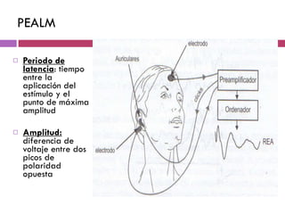 PEALM Periodo de latencia : tiempo entre la aplicación del estímulo y el punto de máxima amplitud Amplitud:  diferencia de voltaje entre dos picos de polaridad opuesta 