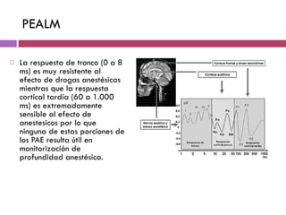 P EALM La respuesta de tronco (0 a 8 ms) es muy resistente al efecto de drogas anestésicas mientras que la respuesta cortical tardía (60 a 1.000 ms) es extremadamente sensible al efecto de anestesicos por lo que ninguna de estas porciones de los PAE resulta útil en monitorización de profundidad anestésica.  