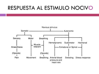 RESPUESTA AL ESTIMULO NOCIV O 