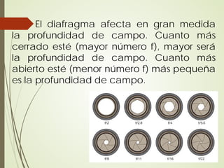 El diafragma afecta en gran medida
la profundidad de campo. Cuanto más
cerrado esté (mayor número f), mayor será
la profundidad de campo. Cuanto más
abierto esté (menor número f) más pequeña
es la profundidad de campo.
 