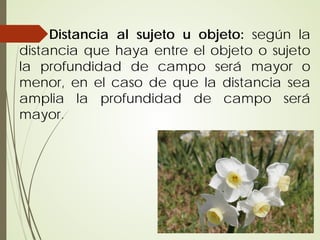 Distancia al sujeto u objeto: según la
distancia que haya entre el objeto o sujeto
la profundidad de campo será mayor o
menor, en el caso de que la distancia sea
amplia la profundidad de campo será
mayor.
 