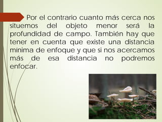 Por el contrario cuanto más cerca nos
situemos del objeto menor será la
profundidad de campo. También hay que
tener en cuenta que existe una distancia
mínima de enfoque y que si nos acercamos
más de esa distancia no podremos
enfocar.
 
