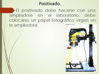 Positivado.
    El positivado debe hacerse con una
ampliadora en el laboratorio, debe
colocarse un papel fotográfico virgen en
la ampliadora
 