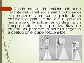 Con la parte de la emulsión o la parte
brillante del papel hacia arriba colocamos
la película encima con la parte de la
emulsión o parte mate de la película
hacia abajo, le aplicamos luz durante un
tiempo determinado por las tiras de
prueba. Así pasamos la película negativa
a positivo en el papel fotosensible.
 