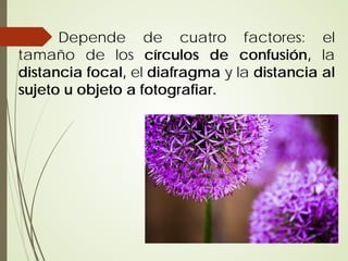 Depende de cuatro factores: el
tamaño de los círculos de confusión, la
distancia focal, el diafragma y la distancia al
sujeto u objeto a fotografiar.
 