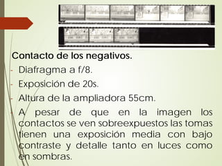 Contacto de los negativos.
- Diafragma a f/8.
- Exposición de 20s.
- Altura de la ampliadora 55cm.
- A pesar de que en la imagen los
  contactos se ven sobreexpuestos las tomas
  tienen una exposición media con bajo
  contraste y detalle tanto en luces como
  en sombras.
 