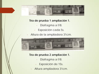 Tira de prueba 1 ampliación 1.
                 -    Diafragma a f/8.
         -           Exposición cada 5s.
-    Altura de la ampliadora 31cm.




    Tira de prueba 2 ampliación 1.
                 -    Diafragma a f/8.
             -       Exposición de 15s.
     -   Altura ampliadora 31cm.
 