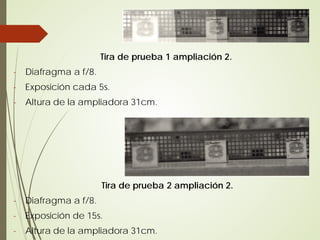 Tira de prueba 1 ampliación 2.
-   Diafragma a f/8.
-   Exposición cada 5s.
-   Altura de la ampliadora 31cm.




                       Tira de prueba 2 ampliación 2.
-   Diafragma a f/8.
-   Exposición de 15s.
-   Altura de la ampliadora 31cm.
 