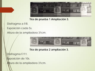 Tira de prueba 1 Ampliación 3.
-   Diafragma a f/8.
-   Exposición cada 5s.
-   Altura de la ampliadora 31cm.




                       Tira de prueba 2 ampliación 3.
-   Diafragma F/11.
-   Exposición de 10s.
-   Altura de la ampliadora 31cm.
 