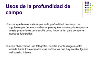 Usos de la profundidad de
campo

Una vez que tenemos claro que es la profundidad de campo, lo
  siguiente que debemos saber es para qué nos sirve, y la respuesta
  a esta pregunta es tan sencilla como importante: para componer
  nuestras fotografías.



Cuando observamos una fotografía, nuestra mente dirige nuestra
  mirada hacia los elementos más enfocados que hay en ella, fijando
  así nuestro interés.
 