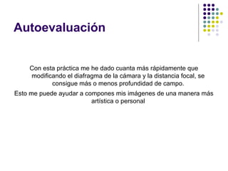 Autoevaluación


    Con esta práctica me he dado cuanta más rápidamente que
    modificando el diafragma de la cámara y la distancia focal, se
           consigue más o menos profundidad de campo.
Esto me puede ayudar a compones mis imágenes de una manera más
                         artística o personal
 