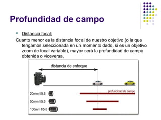 Profundidad de campo
  Distancia focal:
 Cuanto menor es la distancia focal de nuestro objetivo (o la que
   tengamos seleccionada en un momento dado, si es un objetivo
   zoom de focal variable), mayor será la profundidad de campo
   obtenida o viceversa.
 
