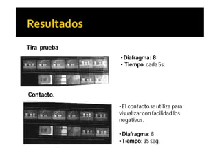 Tira prueba
              • Diafragma: 8
              • Tiempo: cada 5s.




Contacto.
              • El contacto se utiliza para
              visualizar con facilidad los
              negativos.

              • Diafragma: 8
              • Tiempo: 35 seg.
 