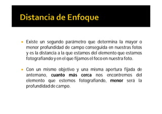    Existe un segundo parámetro que determina la mayor o
    menor profundidad de campo conseguida en nuestras fotos
    y es la distancia a la que estamos del elemento que estamos
    fotografiando y en el que fijamos el foco en nuestra foto.

   Con un mismo objetivo y una misma apertura fijada de
    antemano, cuanto más cerca nos encontremos del
    elemento que estemos fotografiando, menor será la
    profundidad de campo.
 
